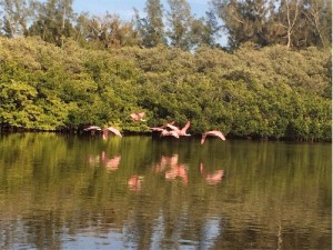 fishing1sm