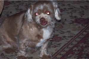 PercyDevilEyes