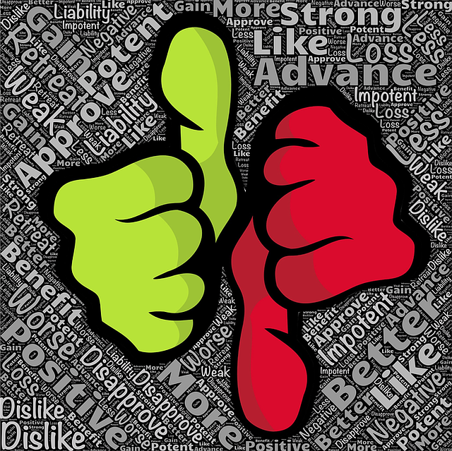 The Profitable Pros and Concerning Cons of “Single-Subject Writing” By Wendy Hobday Haugh The Profitable Pros and Concerning Cons of “Single-Subject Writing” By Wendy Hobday Haugh