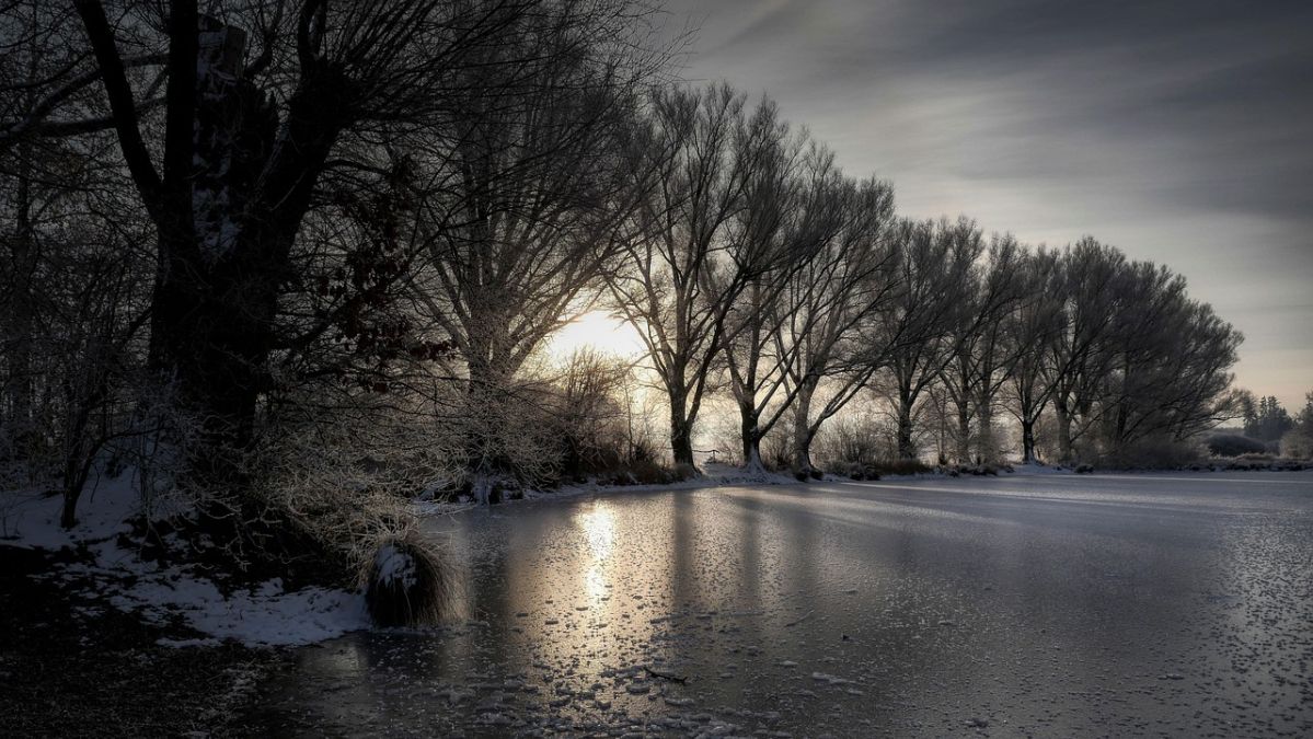 She Saw Three of WHAT??? - Topic, Common Themes, and WINNERS of the WritersWeekly.com Winter, 2026 24-Hour Short Story Contest