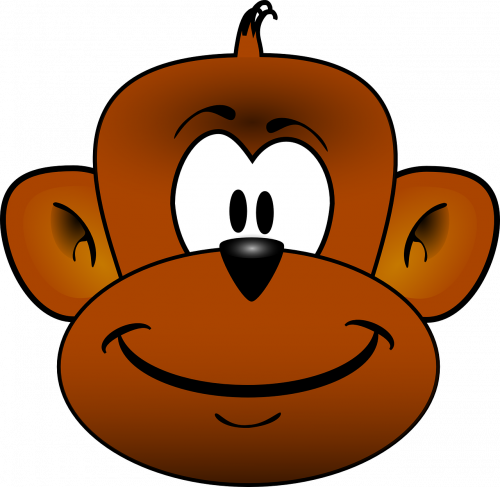 Smiling, Monkey