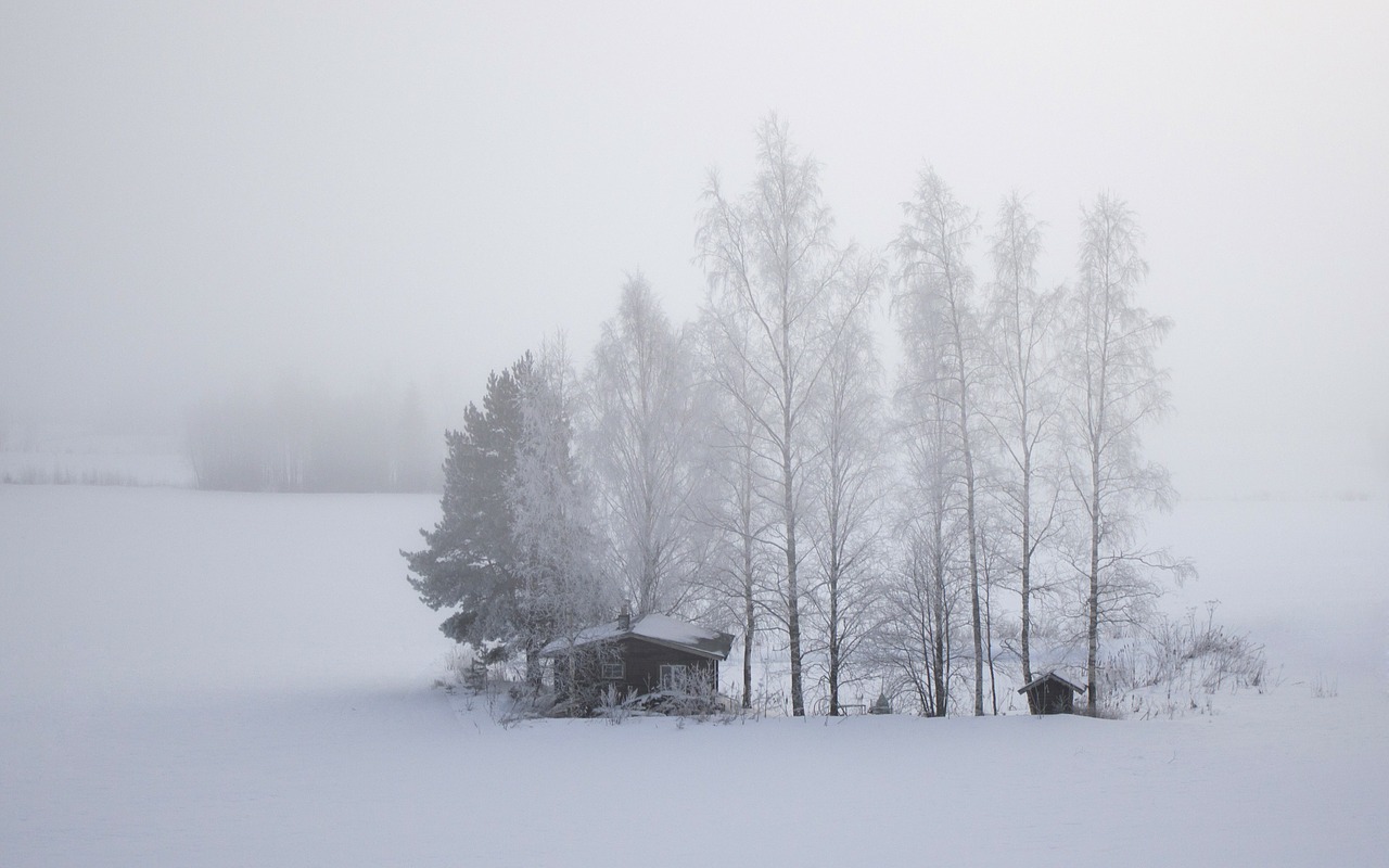 Winter, Cabin
