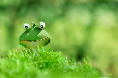 Happy, Frog