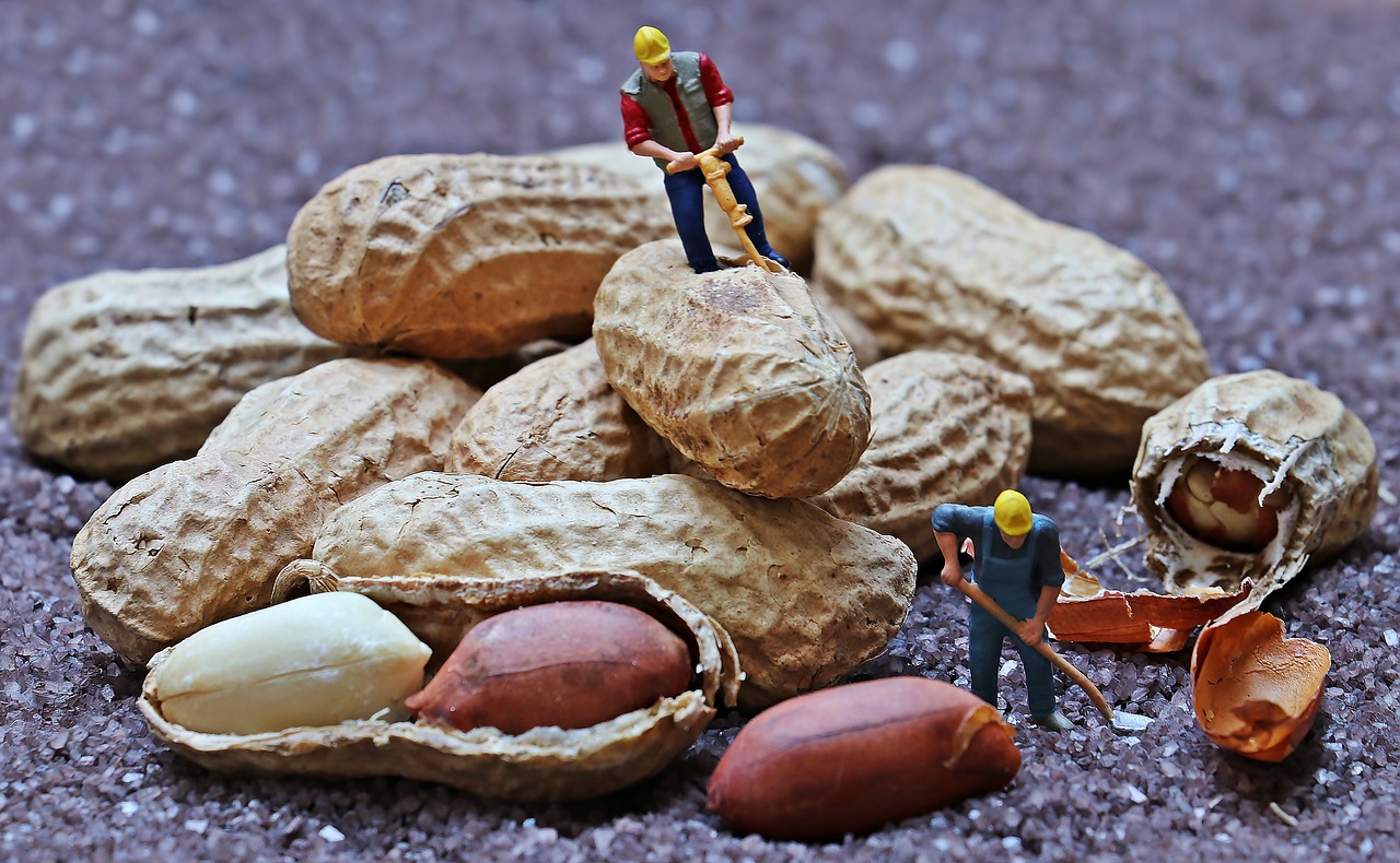 Sticking to Your Rate in a Market With Writers Willing to Work for Peanuts By Lindsay Pietroluongo