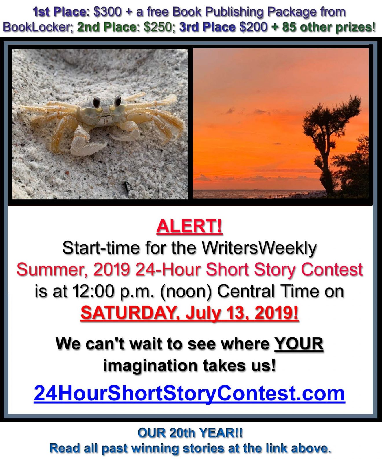 LAST CHANCE! THIS SATURDAY!! What will the Summer, 2019 24-Hour Short Story Contest Topic Be?!?!
