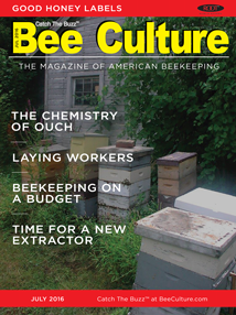 Bee Culture