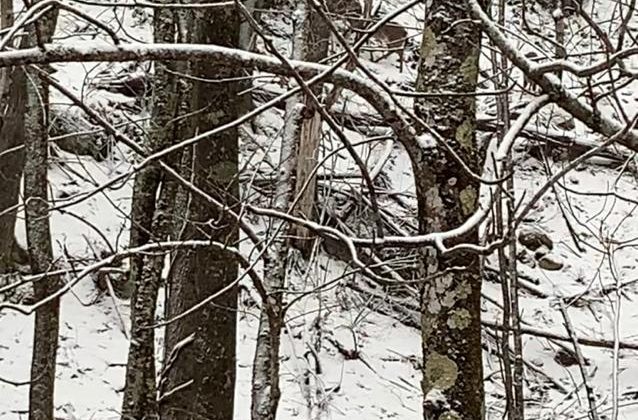 Let It Snow…and Snow…and Snow… Enough Already!!! Let It Snow…and Snow…and Snow… Enough Already!!!