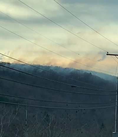 A Wildfire We Can See From Our House + Will 50 MPH Winds Destroy My New Greenhouse?