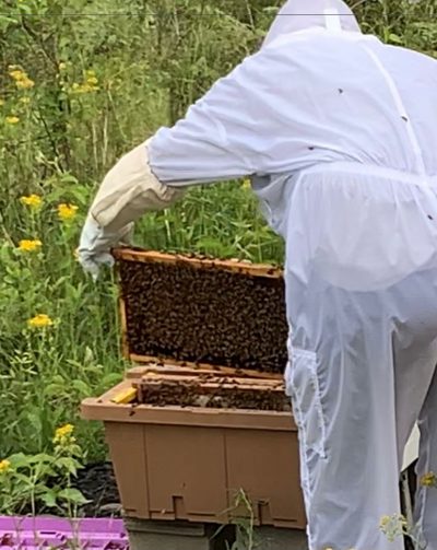 EXCITEMENT OR DREAD? Our First Beehive!