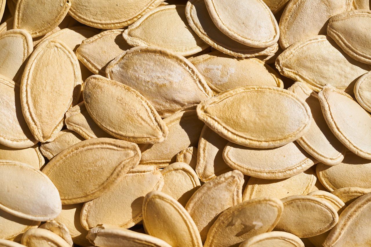 The Giant Pumpkin Seeds Have ARRIVED!!!