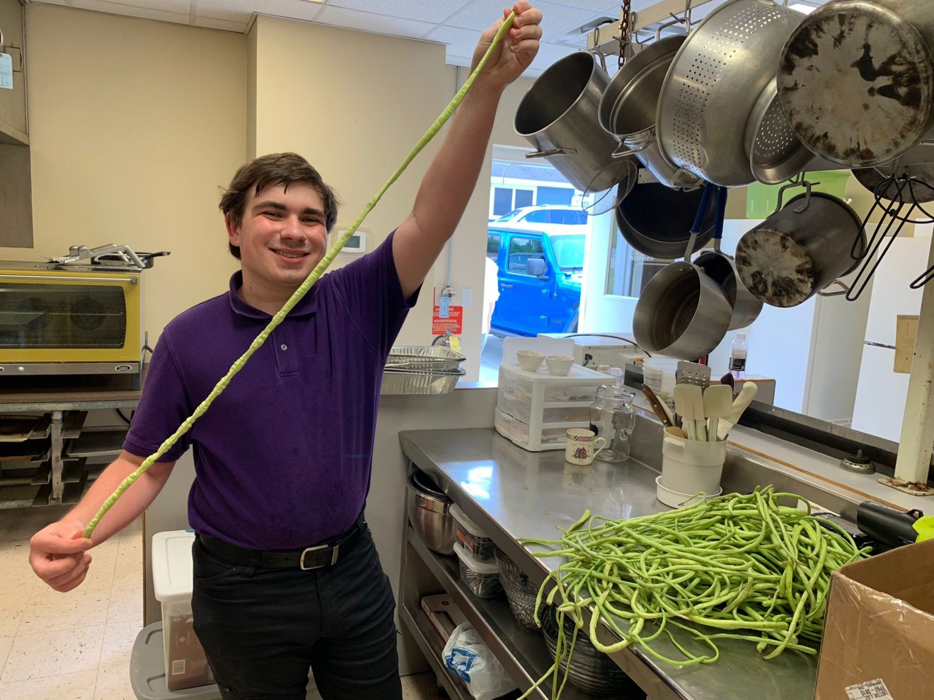 Guess the Weight of Mason’s Yard Long Bean Harvest, and Win a Free Book Publishing Package from BookLocker! (Plus, see who won last week's tater contest!)