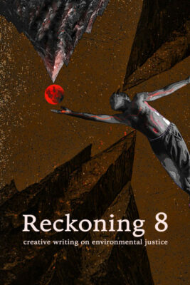 Reckoning Reckoning