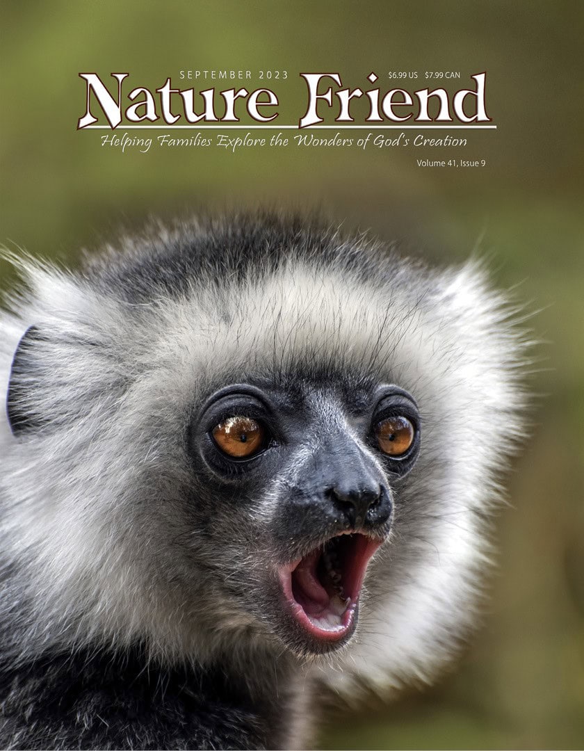 Nature Friend Magazine