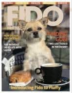 FIDO Friendly Magazine