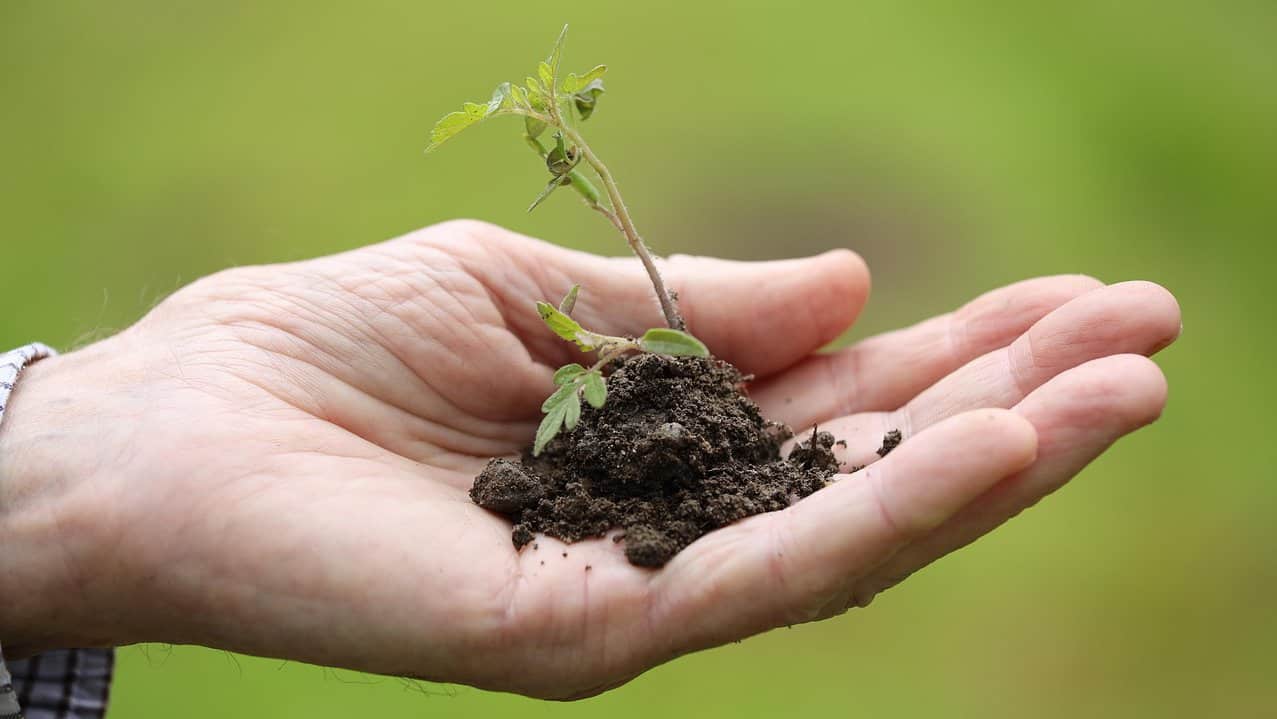 Magazines about Gardening and Farming That Pay Writers By Michael W Michelsen, Jr.
