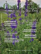 OutLook by the Bay OutLook by the Bay