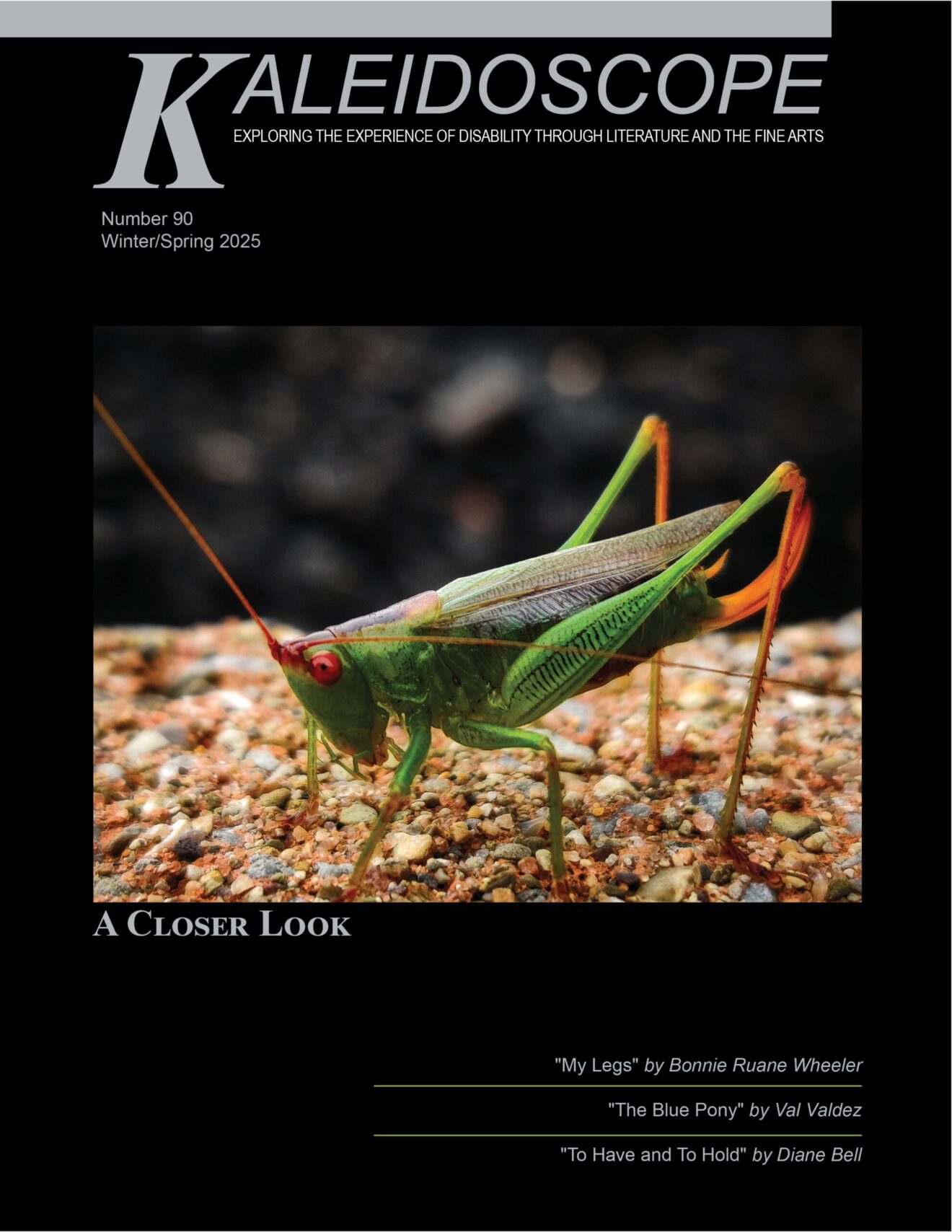 Kaleidoscope: Exploring the Experience of Disability through Literature and the Fine Arts