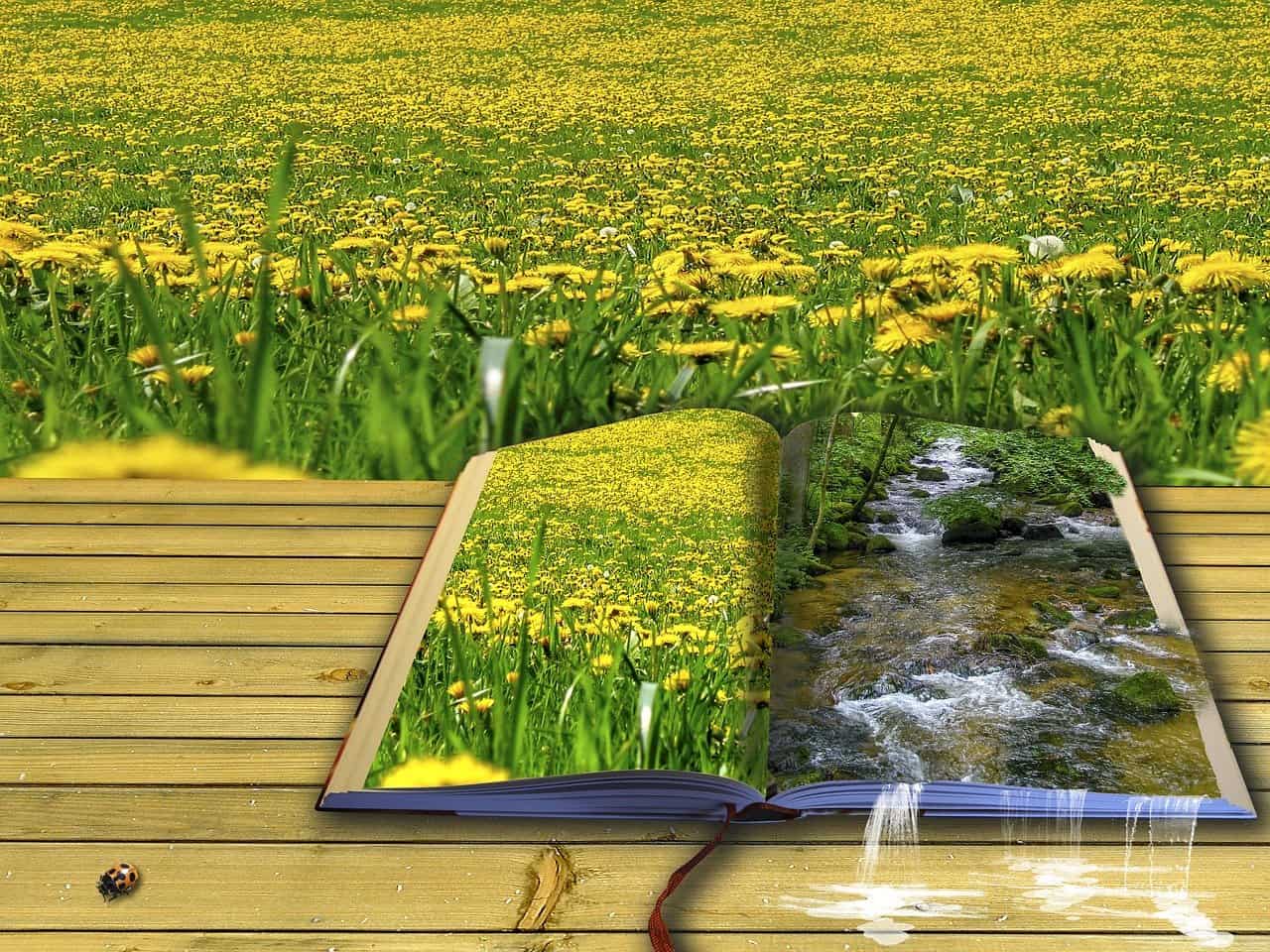 9 Paying Poetry Markets for Writers – by Karoki Githure 9 Paying Poetry Markets for Writers – by Karoki Githure