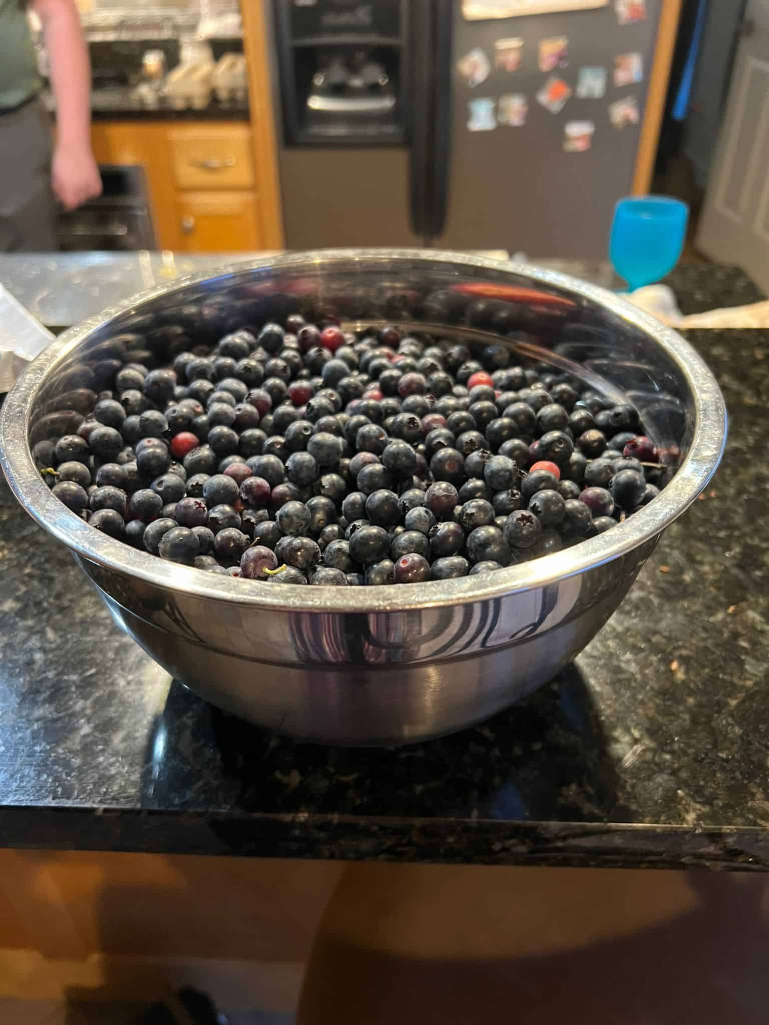 We Are DROWNING in Blueberries! We Are DROWNING in Blueberries!