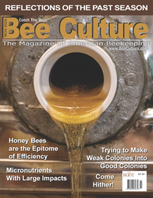 Bee Culture Bee Culture
