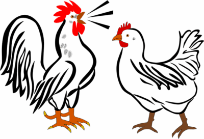 Who’s the Rooster?? – by Brian Whiddon – Managing Editor