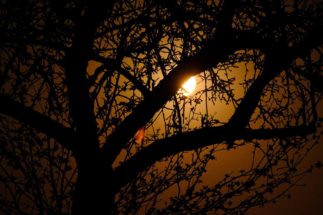 What Horrors Will the Blood Moon Bring?!?! – Topic, Common Themes, and WINNERS of the WritersWeekly.com Fall, 2025 24-Hour Short Story Contest What Horrors Will the Blood Moon Bring?!?! – Topic, Common Themes, and WINNERS of the WritersWeekly.com Fall, 2025 24-Hour Short Story Contest