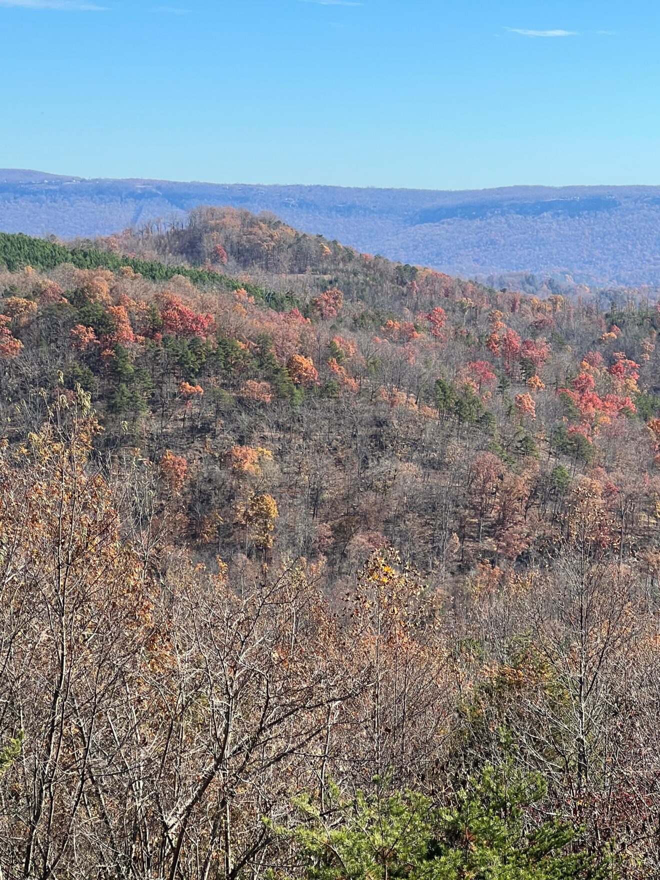 All By Myself... FOR THREE DAYS!!!