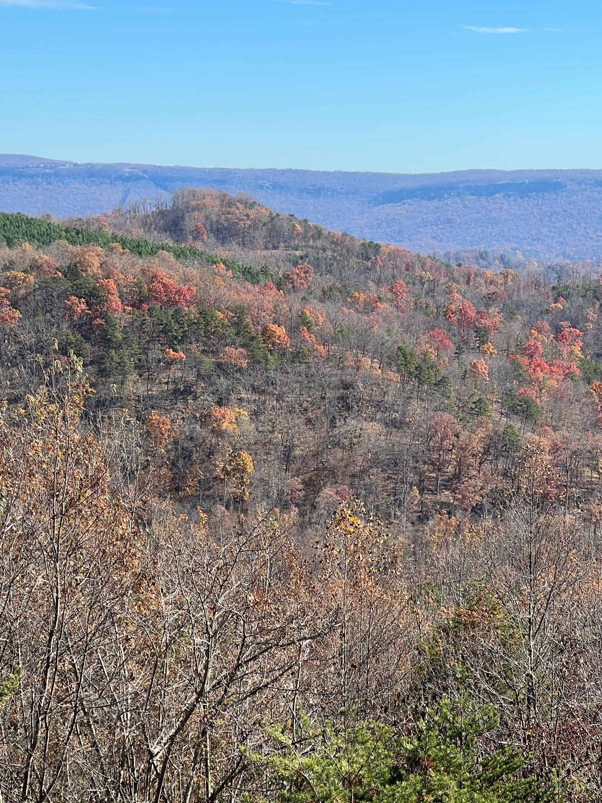 All By Myself… FOR THREE DAYS!!!