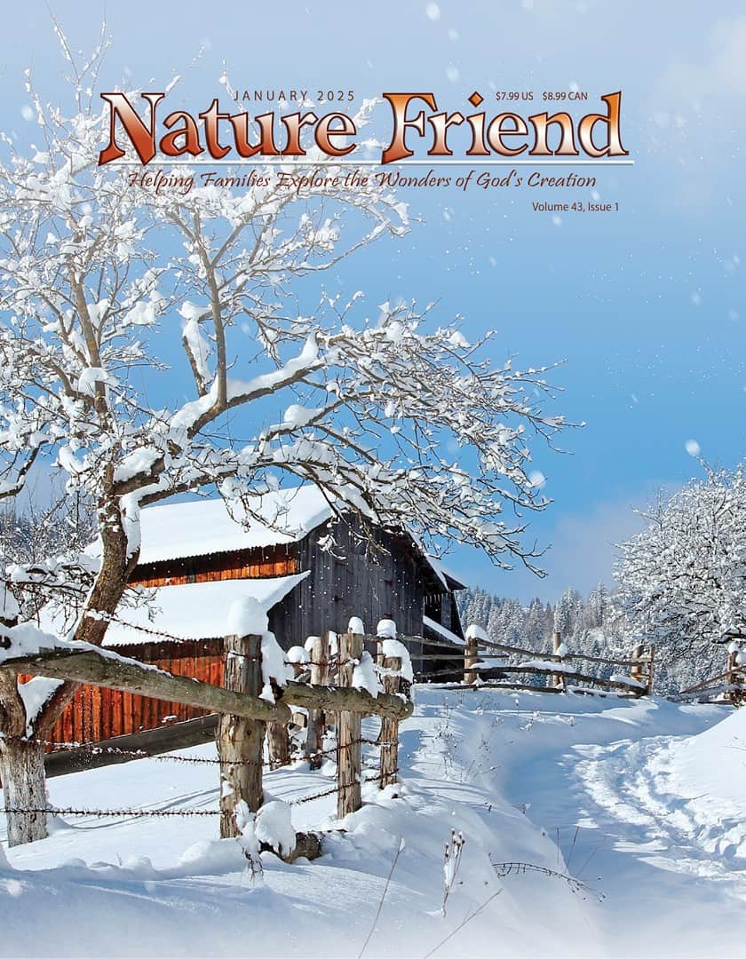 Nature Friend Magazine