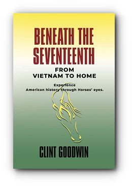 Beneath the Seventeenth: From Vietnam to Home – by Clint Goodwin