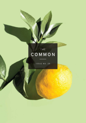 The Common The Common