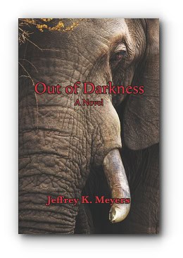 Out of Darkness: A Novel – by Jeffrey K. Meyers