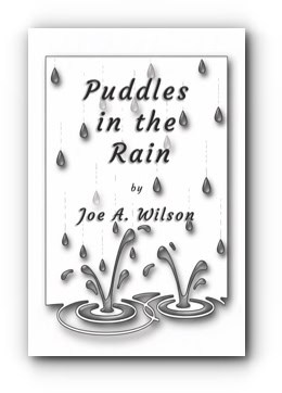 Puddles in the Rain – by Joe A. Wilson