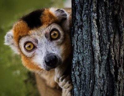 DON’T MISS THIS HILARIOUS ONE! Scammed By A “Fellow Author?” Don’t Get Mad, Get Even… – by Marsh Rose DON’T MISS THIS HILARIOUS ONE! Scammed By A “Fellow Author?” Don’t Get Mad, Get Even… – by Marsh Rose