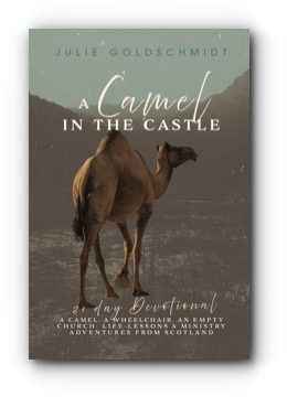 A Camel In The Castle – by Julie Goldschmidt