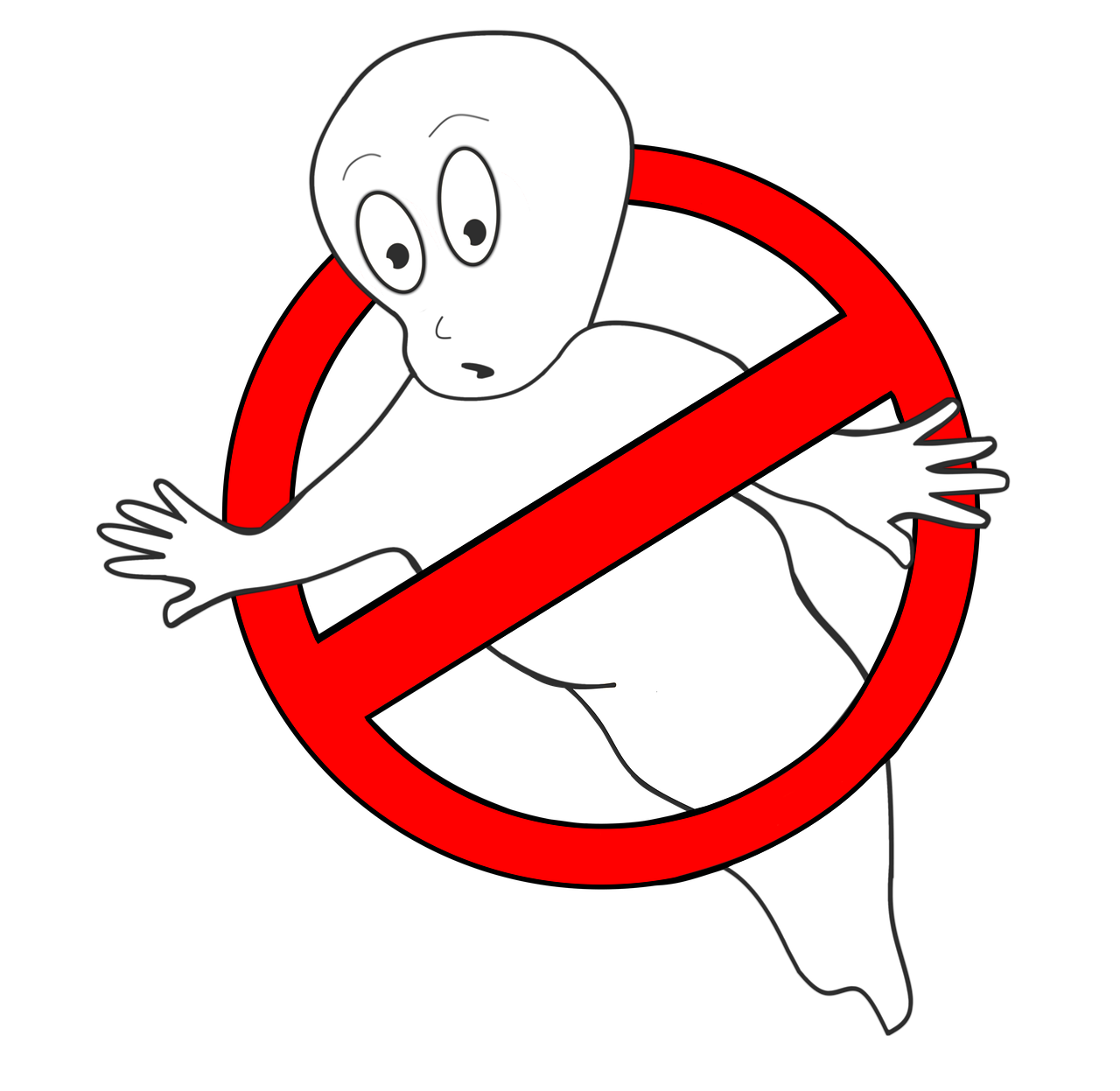 Ghost in the Living Room!!!