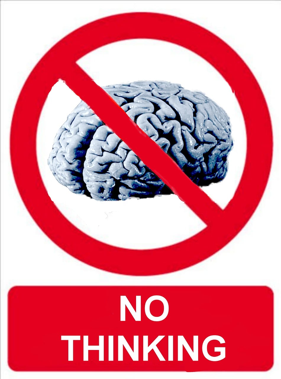 A Scammer Asked Us to Change Our Website Listing! And, Boy oh Boy, Are They Sorry Now!!! HA HA HA HA HA!
