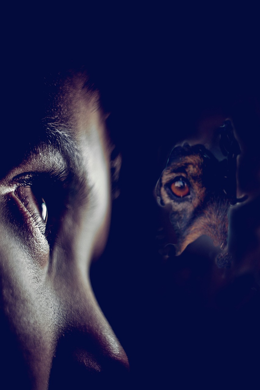 ANOTHER IMPERSONATION SCAM! WARNING about the FAKE BookEnds Literary Agency AND the FAKE WriteLux – by Stephen Bye ANOTHER IMPERSONATION SCAM! WARNING about the FAKE BookEnds Literary Agency AND the FAKE WriteLux – by Stephen Bye
