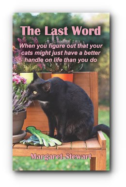 The Last Word: When you figure out that your cats might just have a better handle on life than you do – by Margaret Stewart The Last Word: When you figure out that your cats might just have a better handle on life than you do – by Margaret Stewart