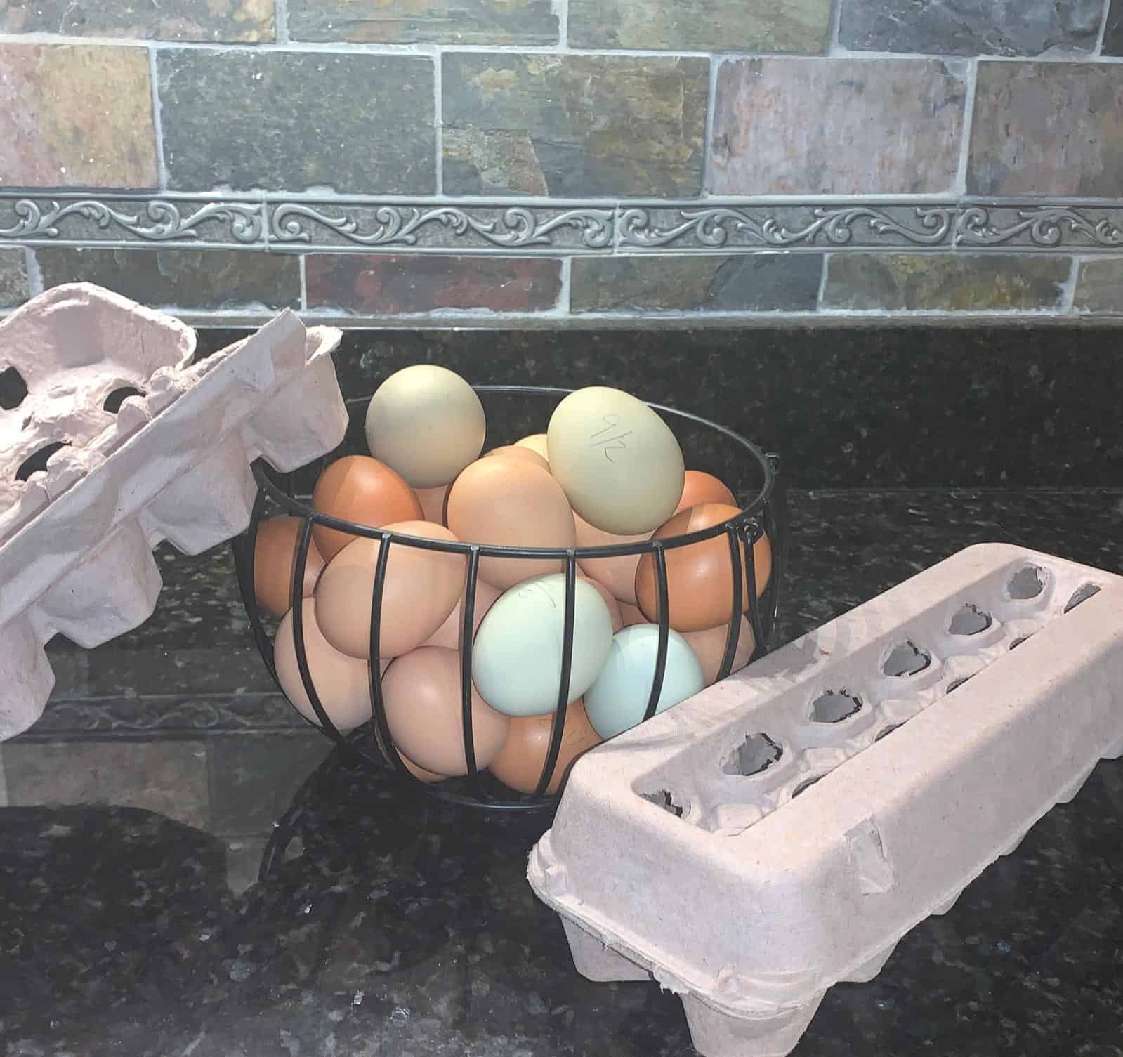 We Have and EGG-istential Crisis!