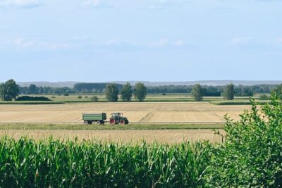 14 Paying Agriculture Markets for Writers – by Karoki Githure 14 Paying Agriculture Markets for Writers – by Karoki Githure